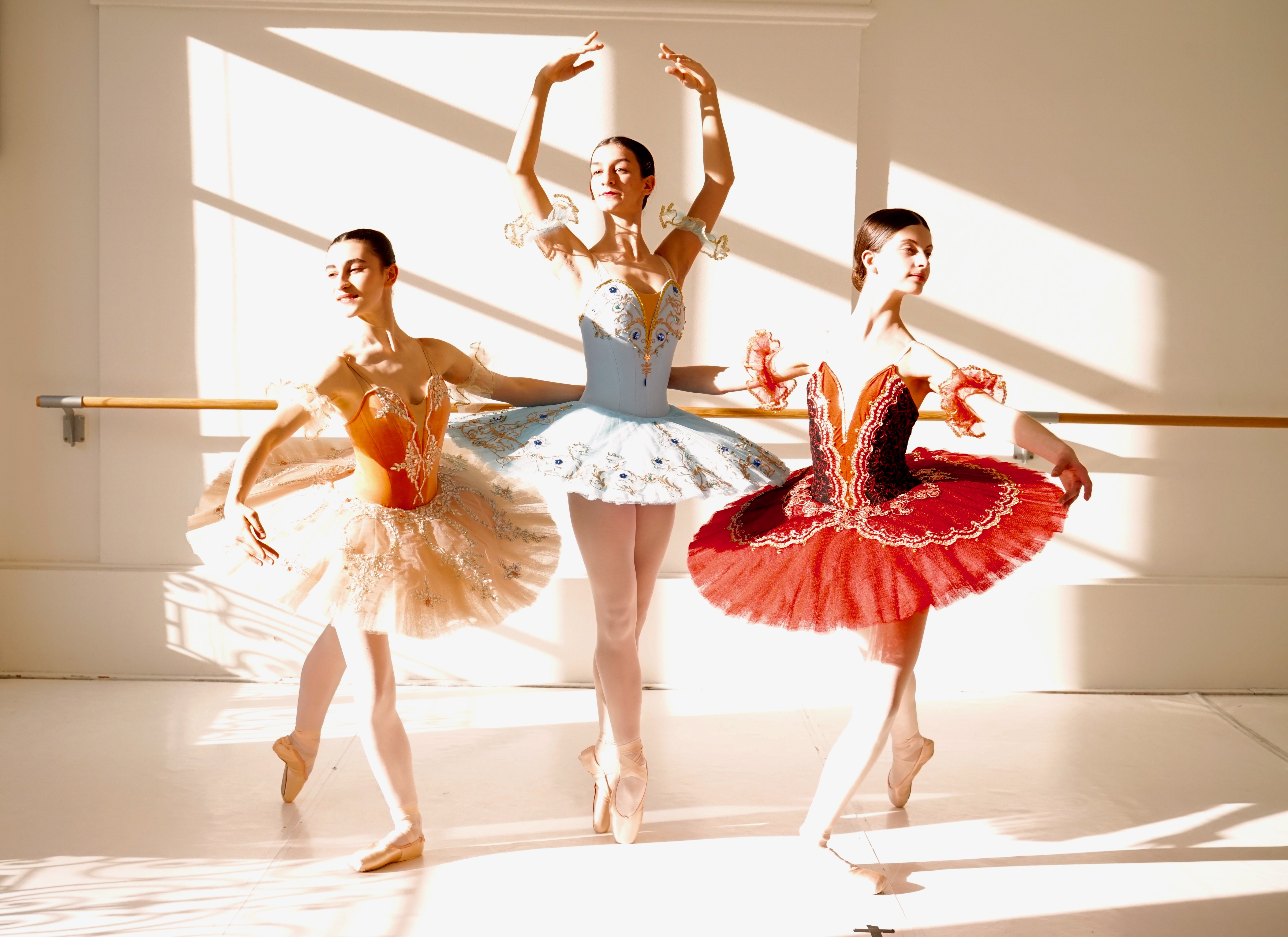 danse classique lyon cours de danse formation cycle ballet
