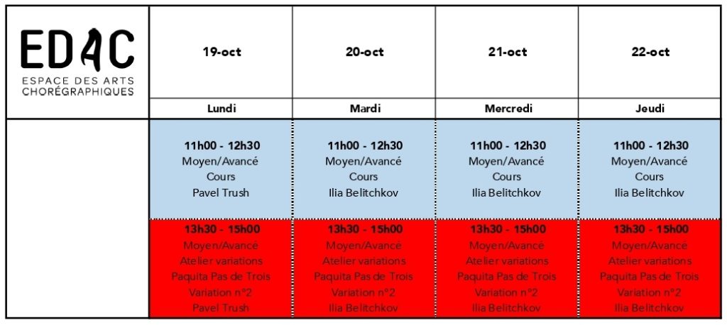 stage de danse classique danse-études master-class opéra de paris opéra de lyon technique répertoire ballet école de danse Juin Juillet 2026 danseurs professionnels ERD chorégraphie ENDM planning emploi de temps